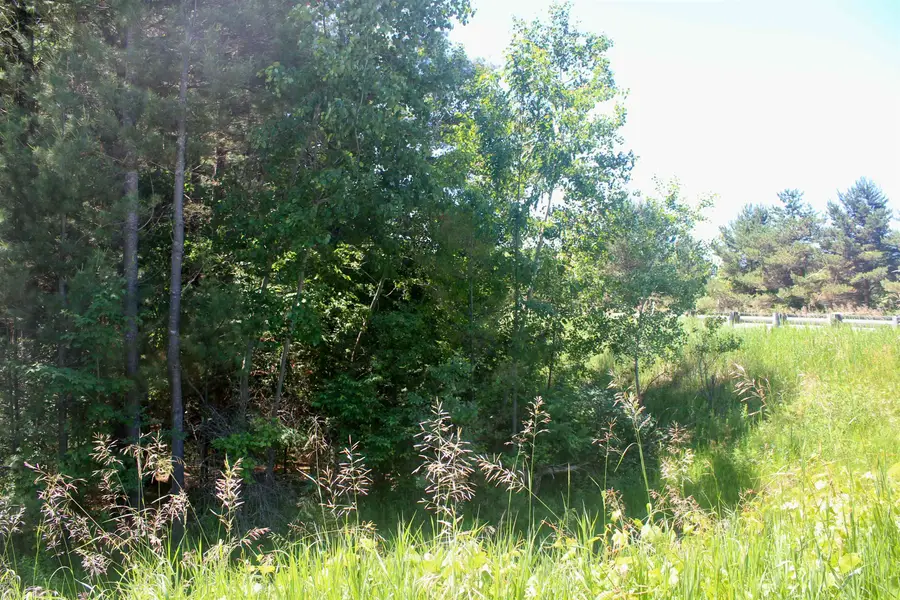 00 Stone Circle DR, Kewadin, MI 49648 - #3