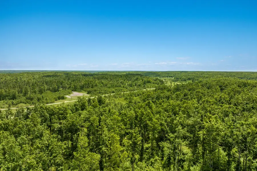 00 Mount Frederic RD, Frederic, MI 49733 - #2