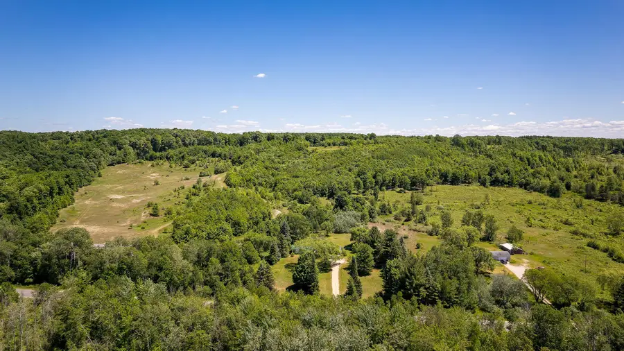 000 Nessen City, Copemish, MI 49625 - #2