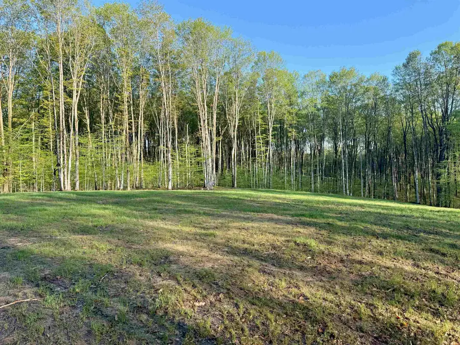 001 S Bright RD, Kasson, MI 49664 - #2