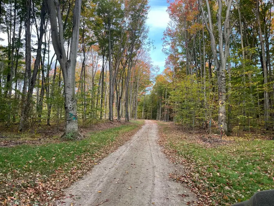 02 S Bright RD, Kasson, MI 49664 - #3