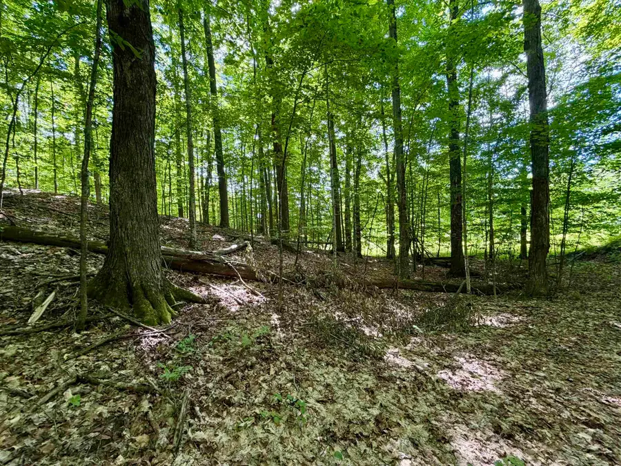 10 Broken Club, Bellaire, MI 49615 - #3