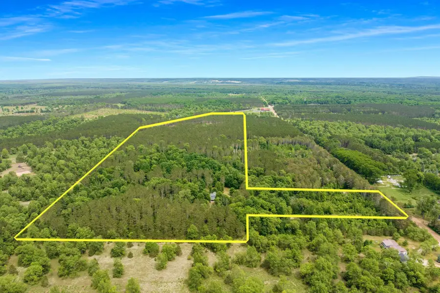16514 Vondra, Thompsonville, MI 49683 - #3