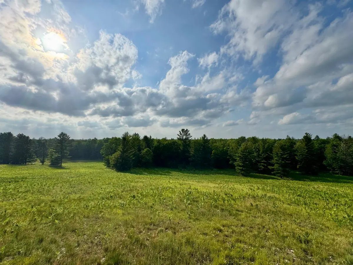 4264 SW Bald Eagles, Boardman, MI 49680 - #1