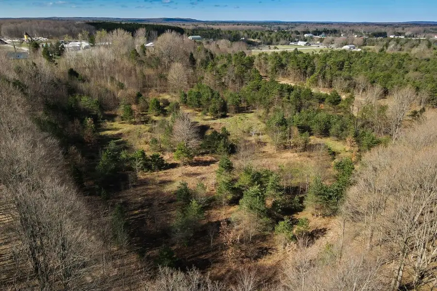 V/L Honor HWY, Interlochen, MI 49643 - #3