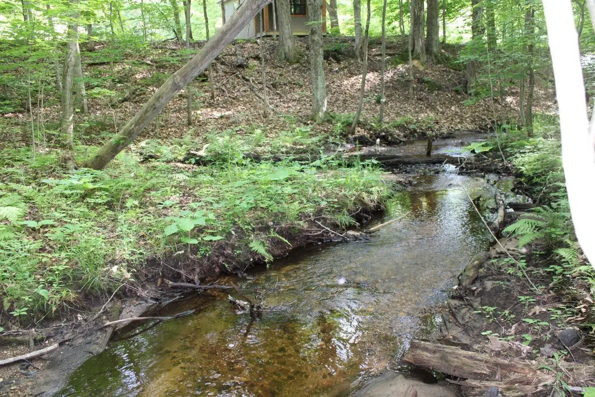 2750 NE Apple Creek RD, Kalkaska, MI 49646 - #1