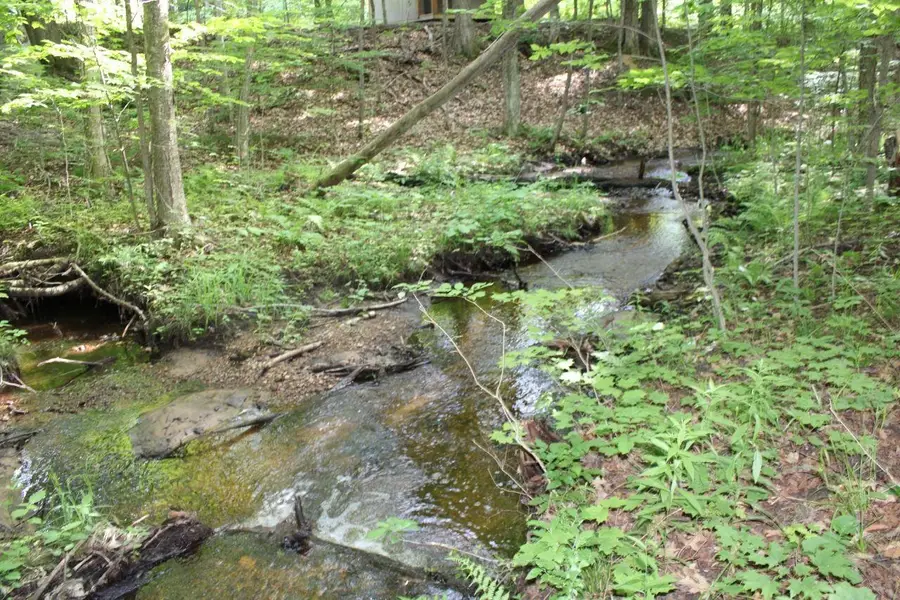 2750 NE Apple Creek RD, Kalkaska, MI 49646 - #2