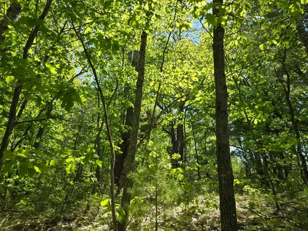 00 E Long Lake, Cadillac, MI 49601