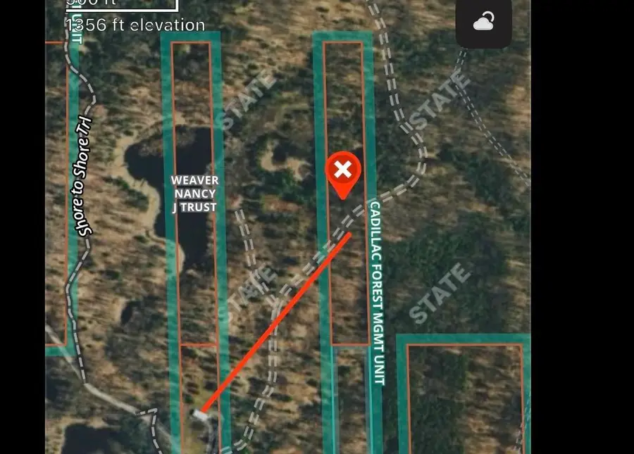 00 E Long Lake, Cadillac, MI 49601 - #3
