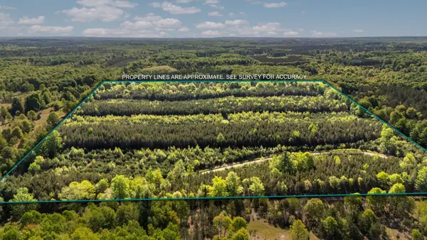 Lot F: 5.66 AC Lake, FifeLake, MI 49633