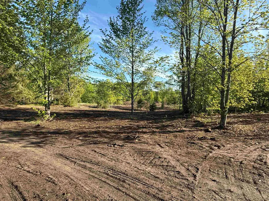 1007 E Solaris, Kasson, MI 49664 - #2