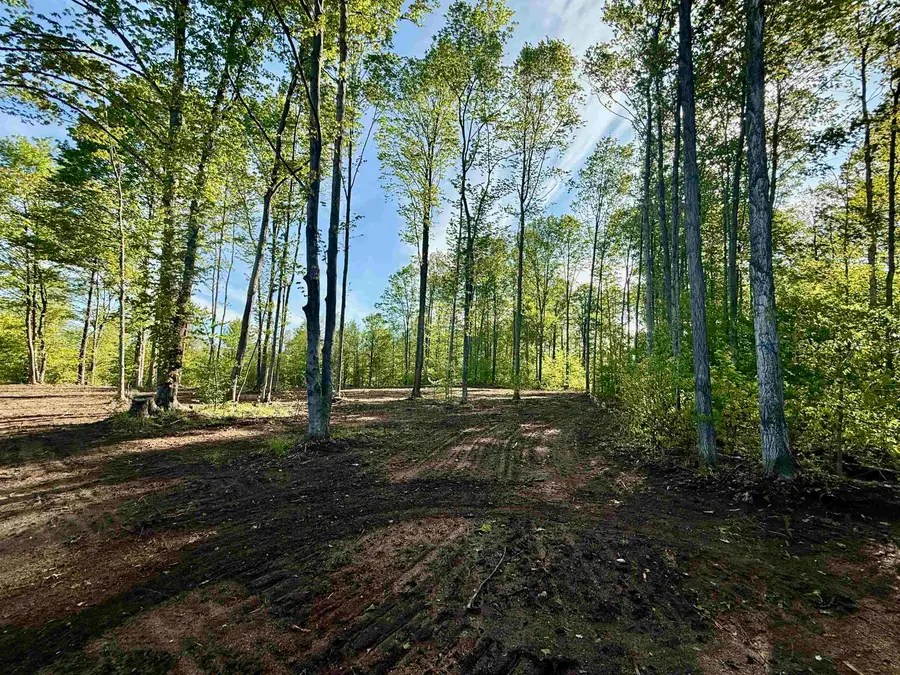 1155 E Solaris, Kasson, MI 49664 - #3