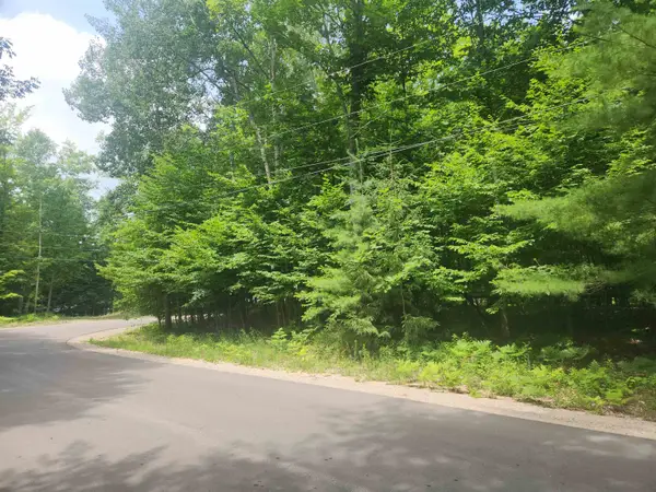 00 Birch View, LakeAnn, MI 49650