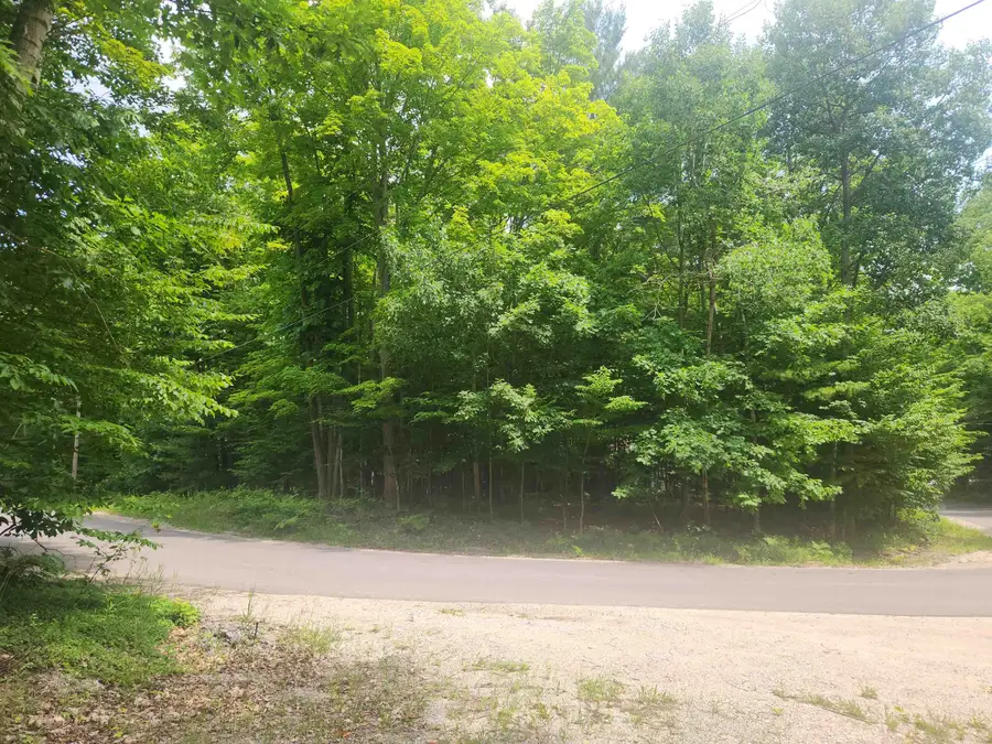 00 Birch View, Maple Grove, MI 49650 - #2