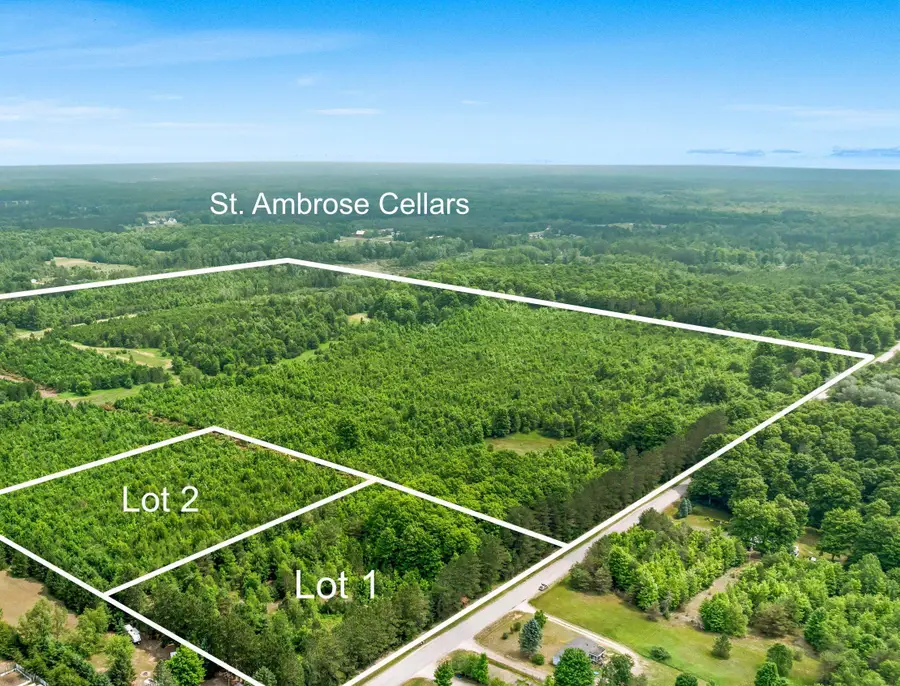 Parcels 1 & 2 Maple, Benzonia, MI 49616 - #2