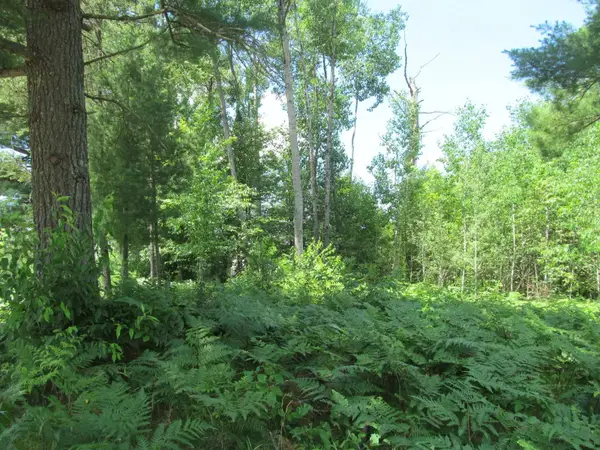 Lot 63 White Pine, Cadillac, MI 49601