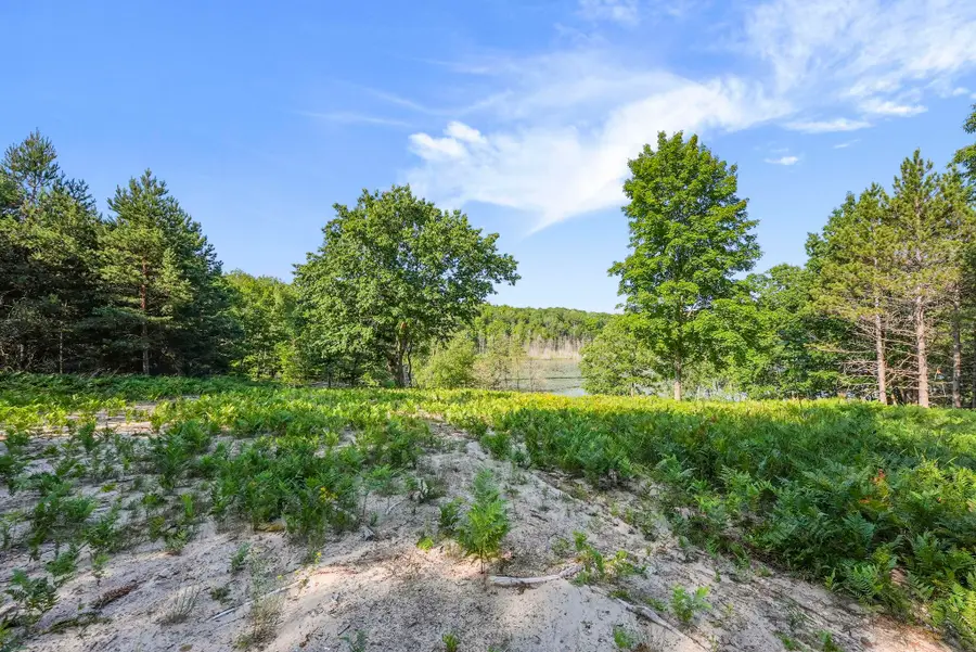 16963 Parcel C Gray Heirs, Almira, MI 49650 - #2
