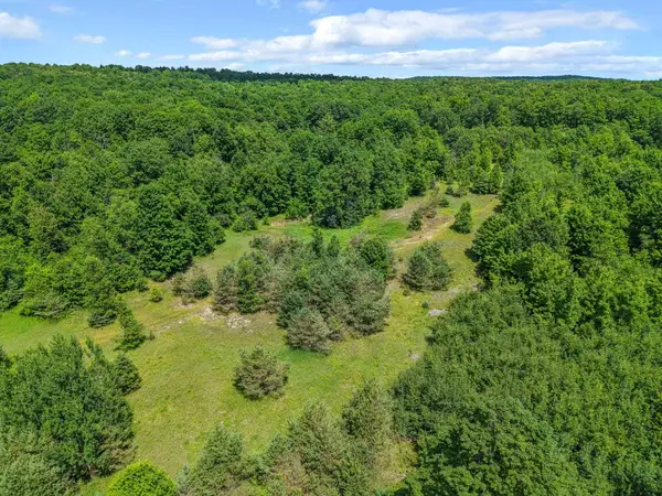 6320 N Morey, LakeCity, MI 49651