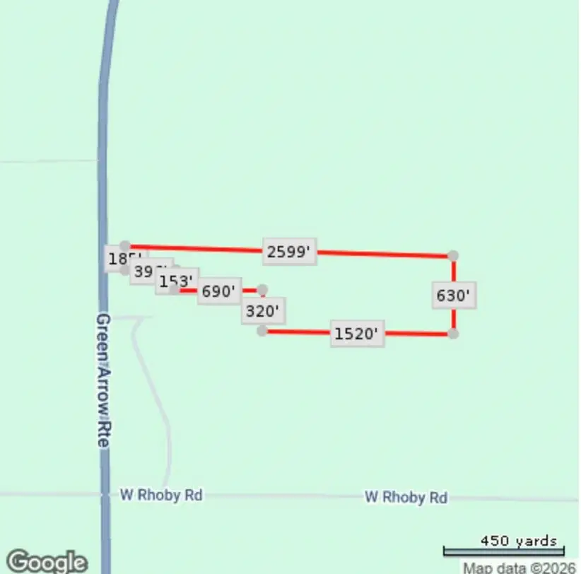 6320 N Morey, Pioneer, MI 49651 - #3