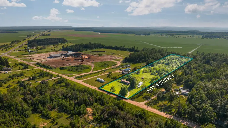 436 Tobias RD, Elmira, MI 49730 - #2