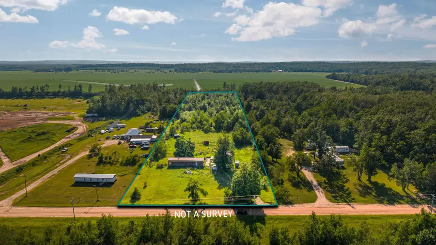 436 Tobias RD, Elmira, MI 49730 - #3