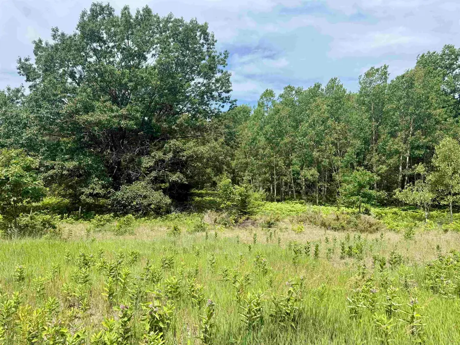 0 E Sandy LN, Cedar, MI 49621 - #3