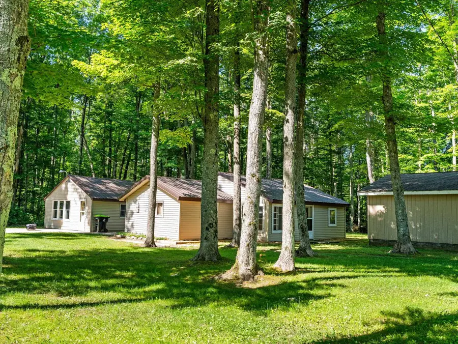5251 E Shore, Kalkaska, MI 49646 - #2