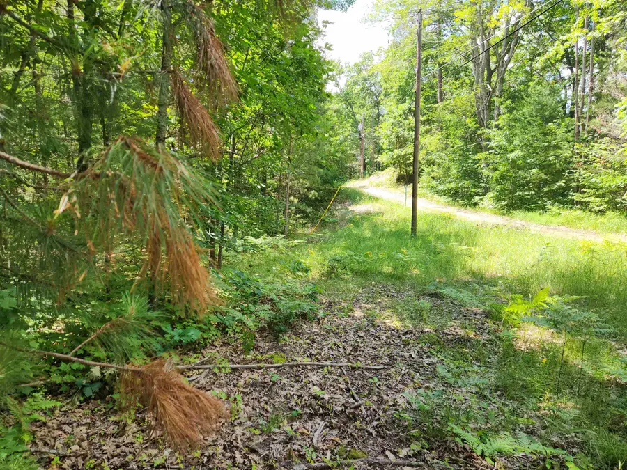 000 Bradley, Kalkaska, MI 49646 - #3