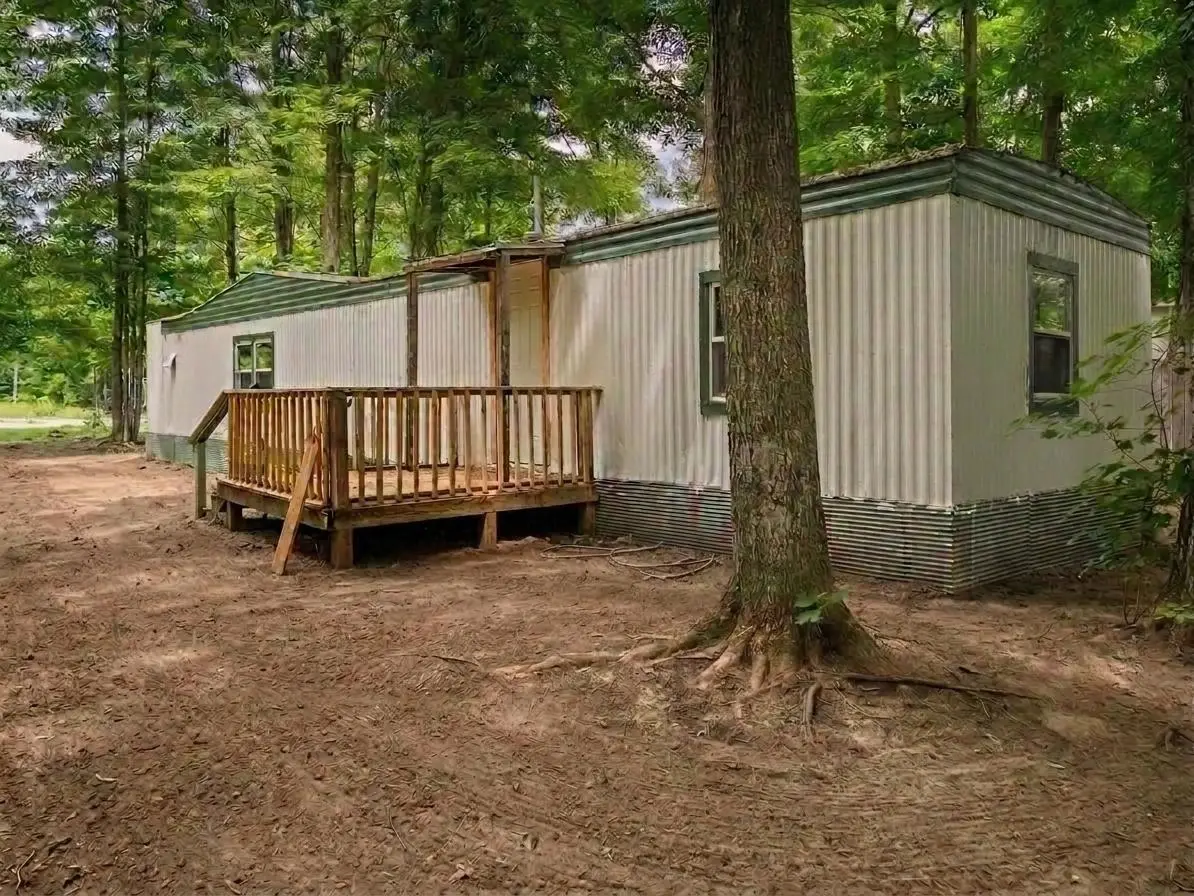 4519 E Mobile, Blair, MI 49685 - #1