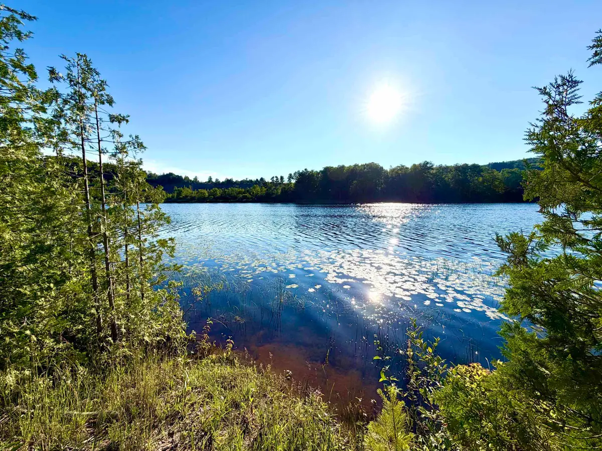 7932 Rushton RD, Ellsworth, MI 49729 - #1