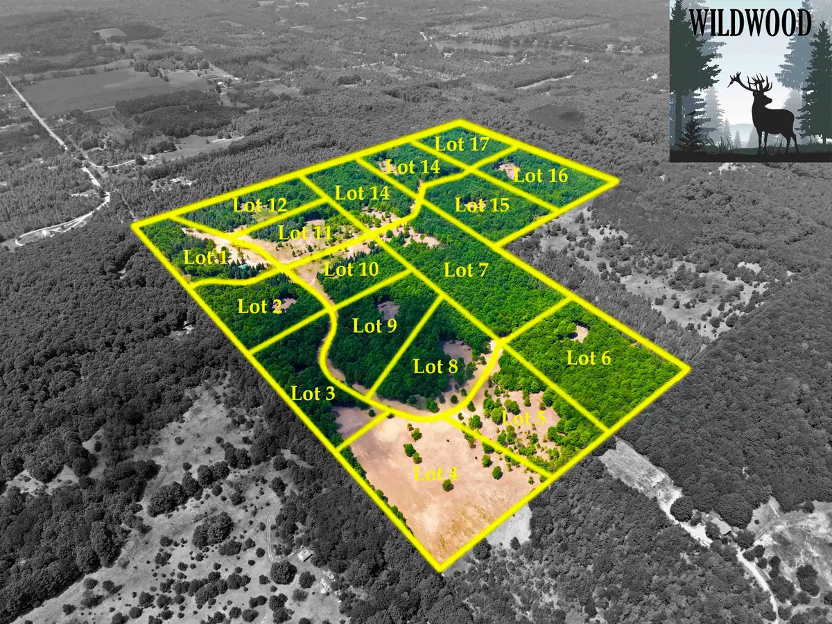 10825 SW Pine Ridge, Fife Lake, MI 49633 - #1