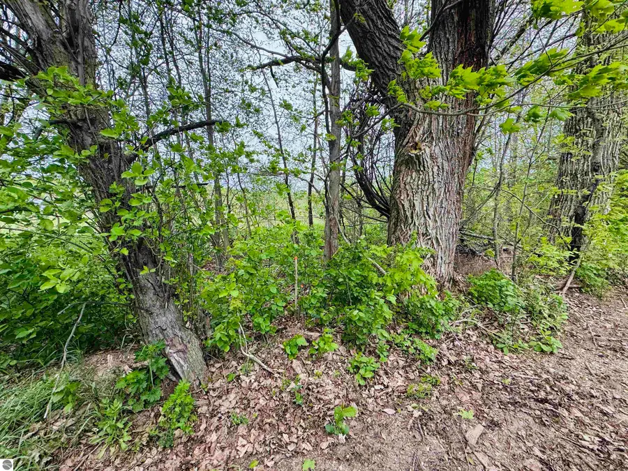 Packingham RD, Manton, MI 49663 - #2