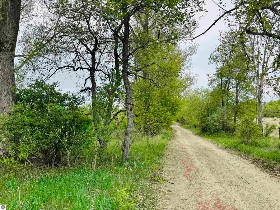 Packingham RD, Manton, MI 49663 - #3