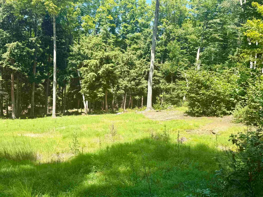 1364 E Maplewing DR, Cedar, MI 49621 - #2