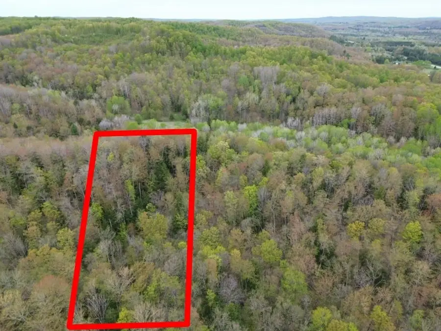 VL Brookwood, Jordan, MI 49727 - #2