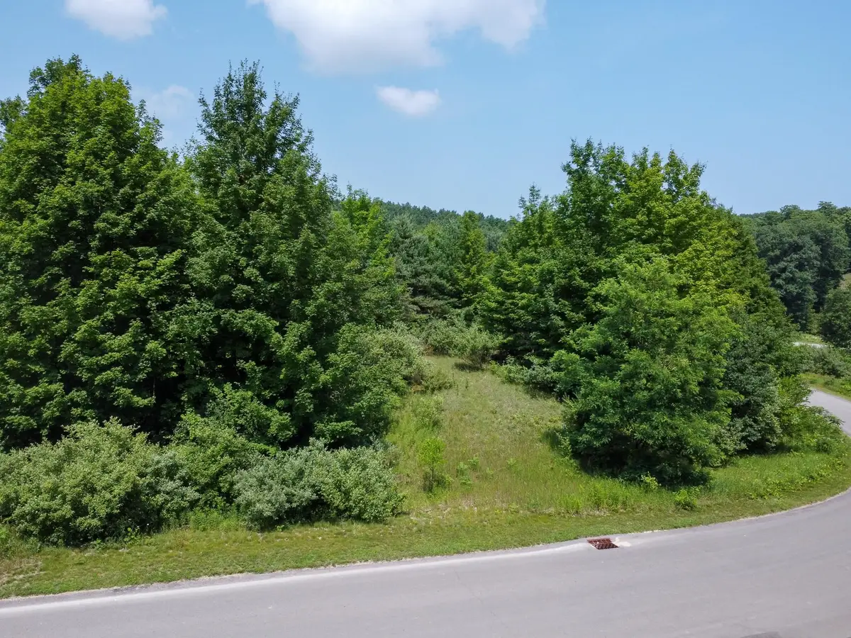Lot 61 S Skye Hill, Garfield, MI 49684 - #1