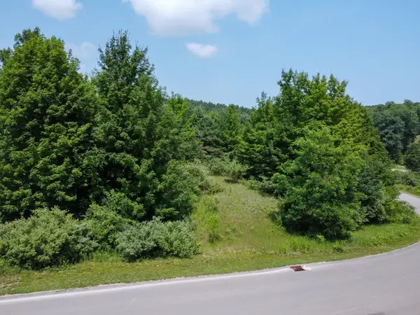 Lot 61 S Skye Hill, TraverseCity, MI 49684