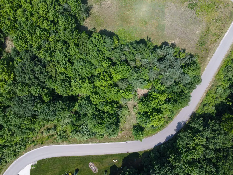 Lot 61 S Skye Hill, Garfield, MI 49684 - #3