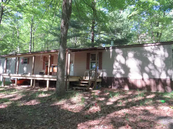 126 W Ridge, Leroy, MI 49655