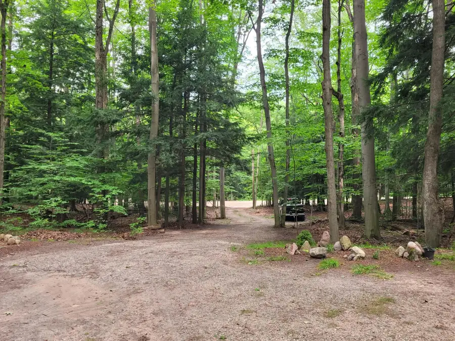 257 W Forest, Leroy, MI 49655 - #2