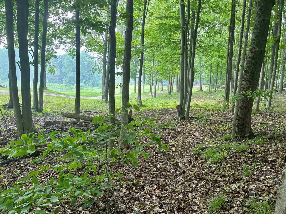 V/L 8 Forest, Bellaire, MI 49615 - #1