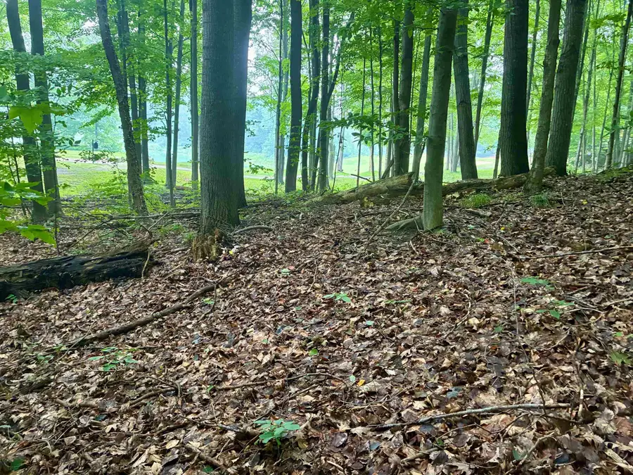 V/L 8 Forest, Bellaire, MI 49615 - #2