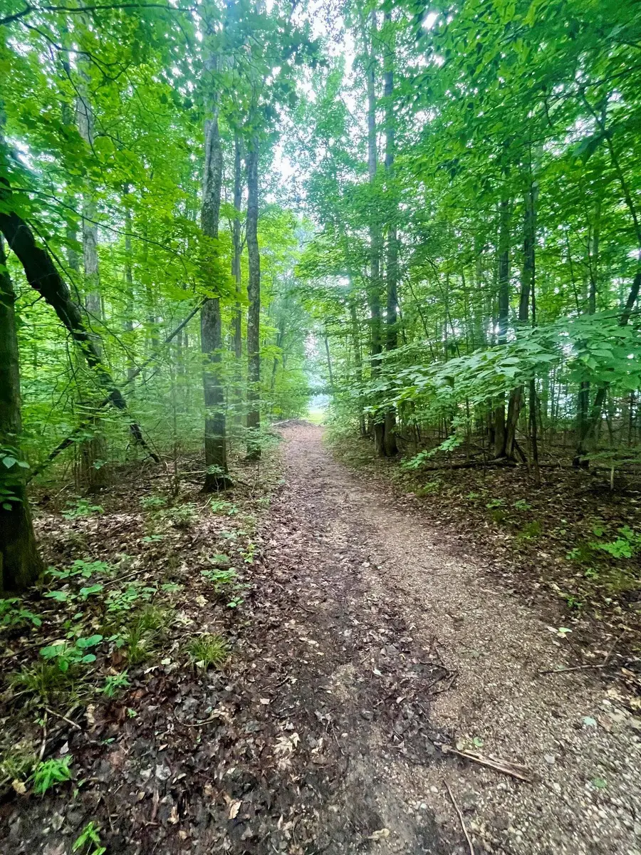 V/L 8 Forest, Bellaire, MI 49615 - #3
