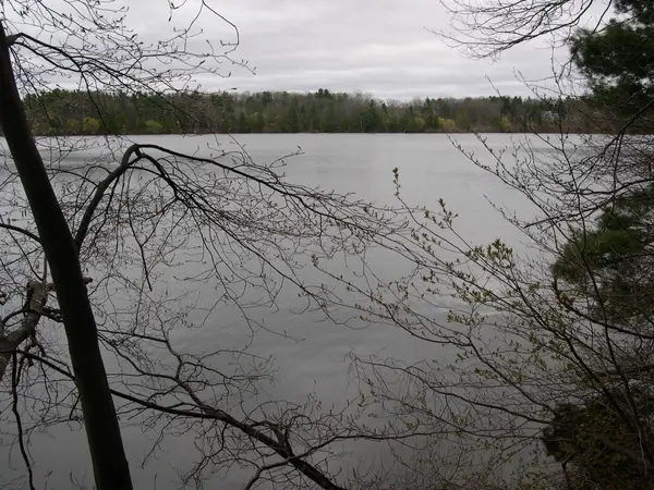 1589 Edgewater, TraverseCity, MI 49684