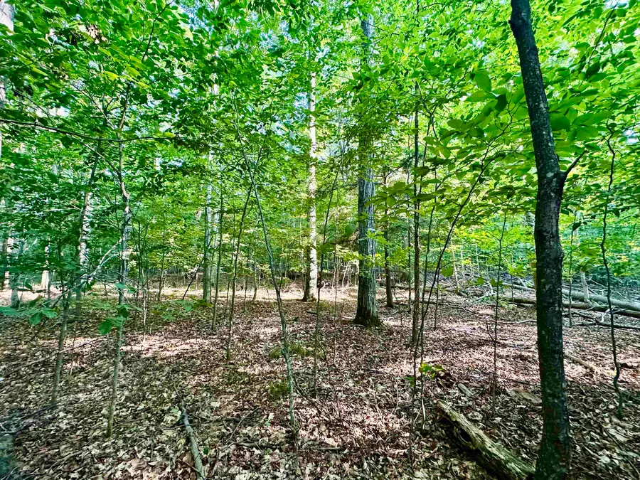 950 E Sullivan Woods, Cedar, MI 49621 - #3