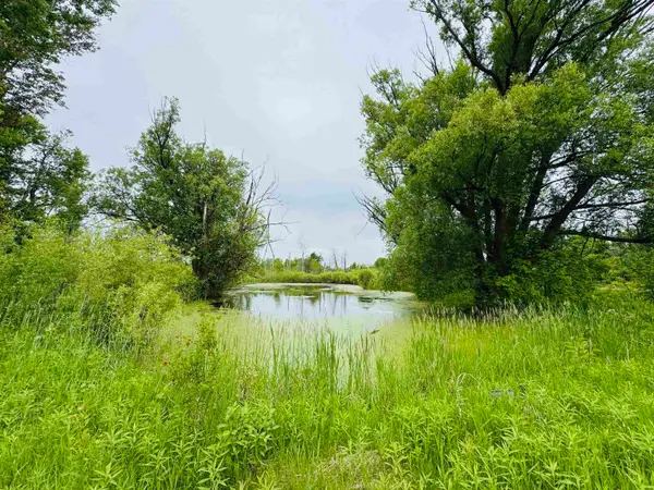 E 12 3/4, Manton, MI 49663