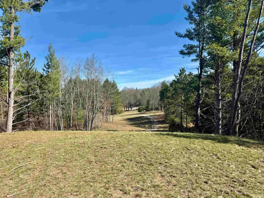3041 Dockery Road, Williamsburg, MI 49690 - #2