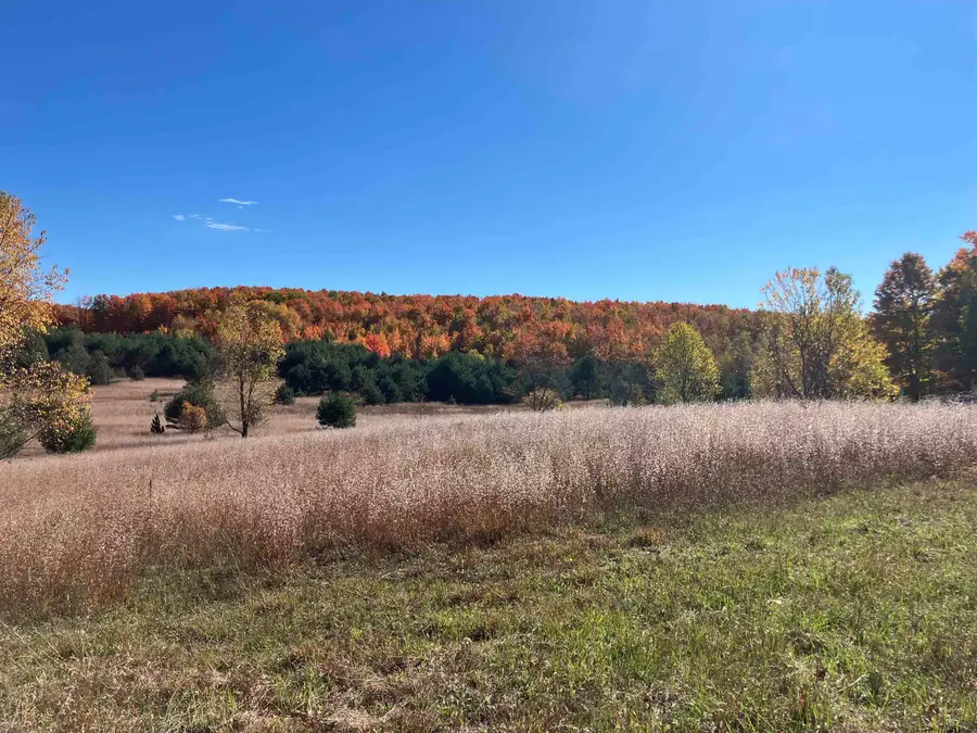 8655 SE Campbell RD, Fife Lake, MI 49633 - #3