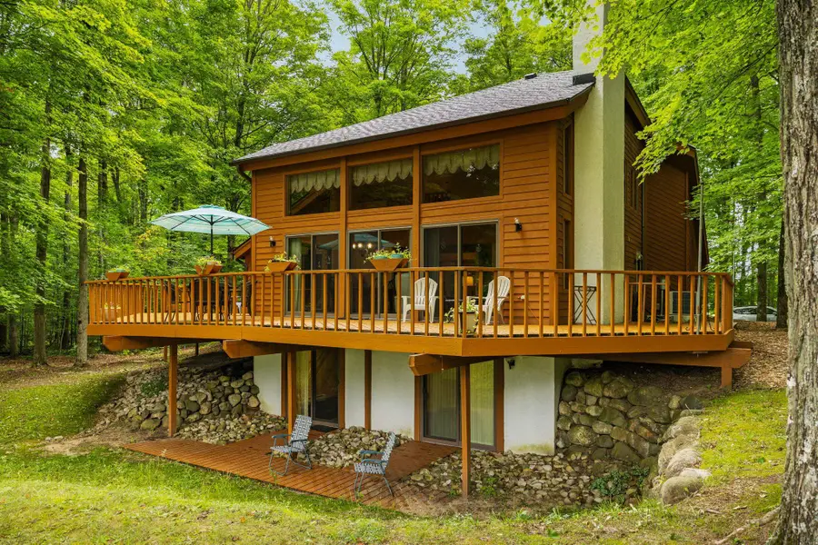 6842 Rue De Montagne, Mancelona, MI 49659 - #2