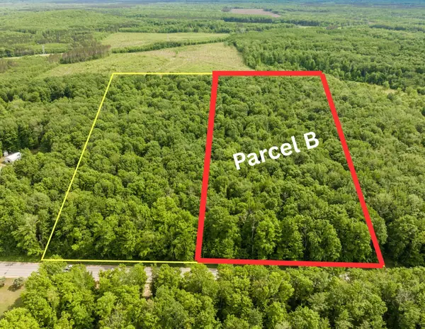 Parcel B Mancelona RD, Mancelona, MI 49659
